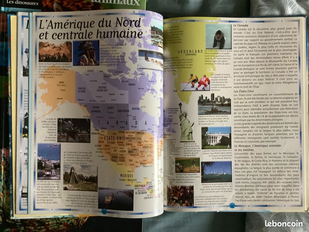 Livres sur les animaux, les dinosaures et le corps humain (image 10)