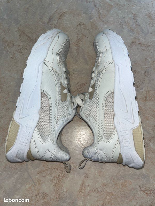 Puma (image 3)