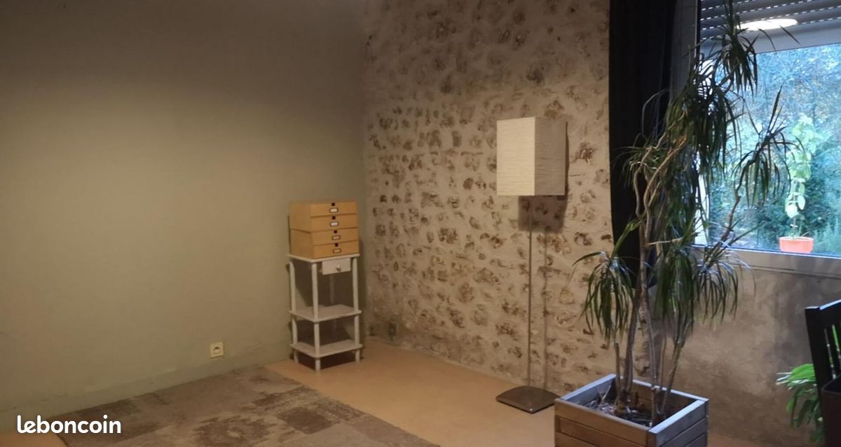 Maison 9 pièces 224 m² - Saugnac-et-Muret 40410 (image principale 6)