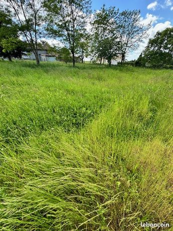 Terrain 1124 m² Montguyon