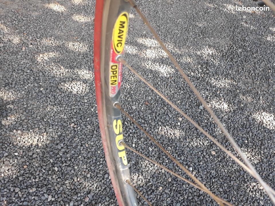 Velo vitus oct (image 3)