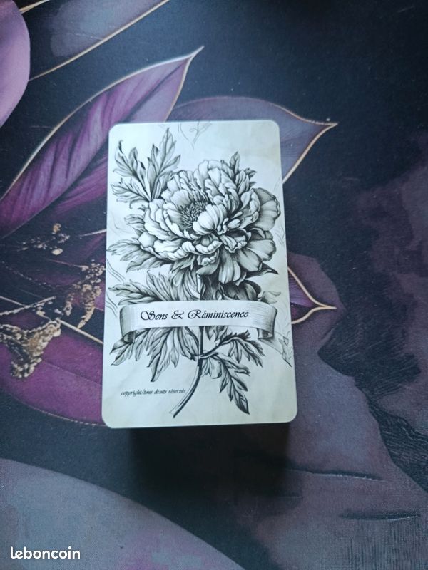 Oracle sens et reminiscence (image 1)