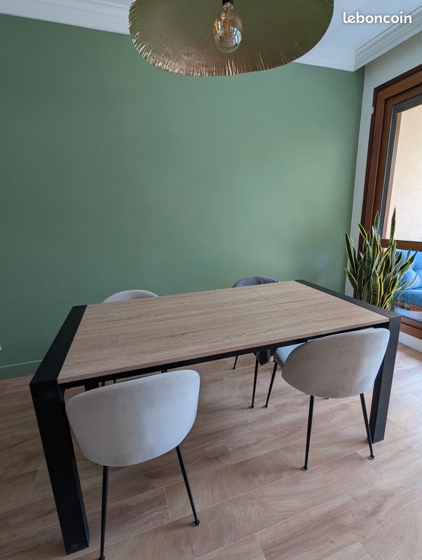 Table extensible 120/160 (image 1)