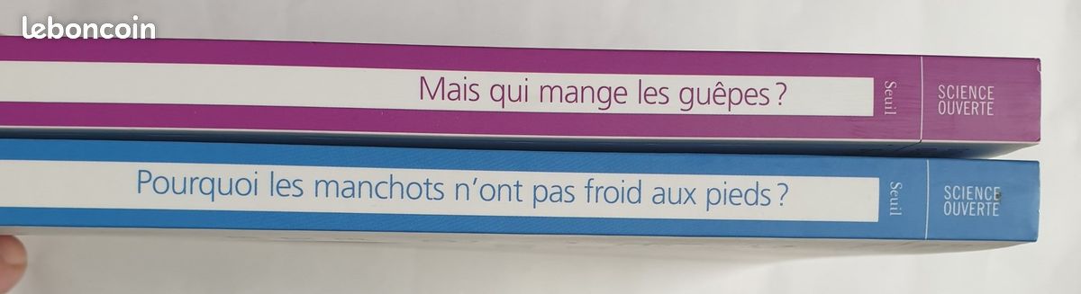 Mais qui mange les guêpes ? (image 7)