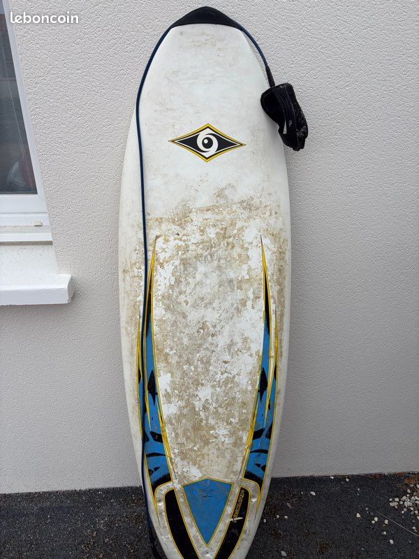 Surf bic 5.10 fish (image 1)