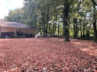 Terrain 1 600 m² Mont De Marsan