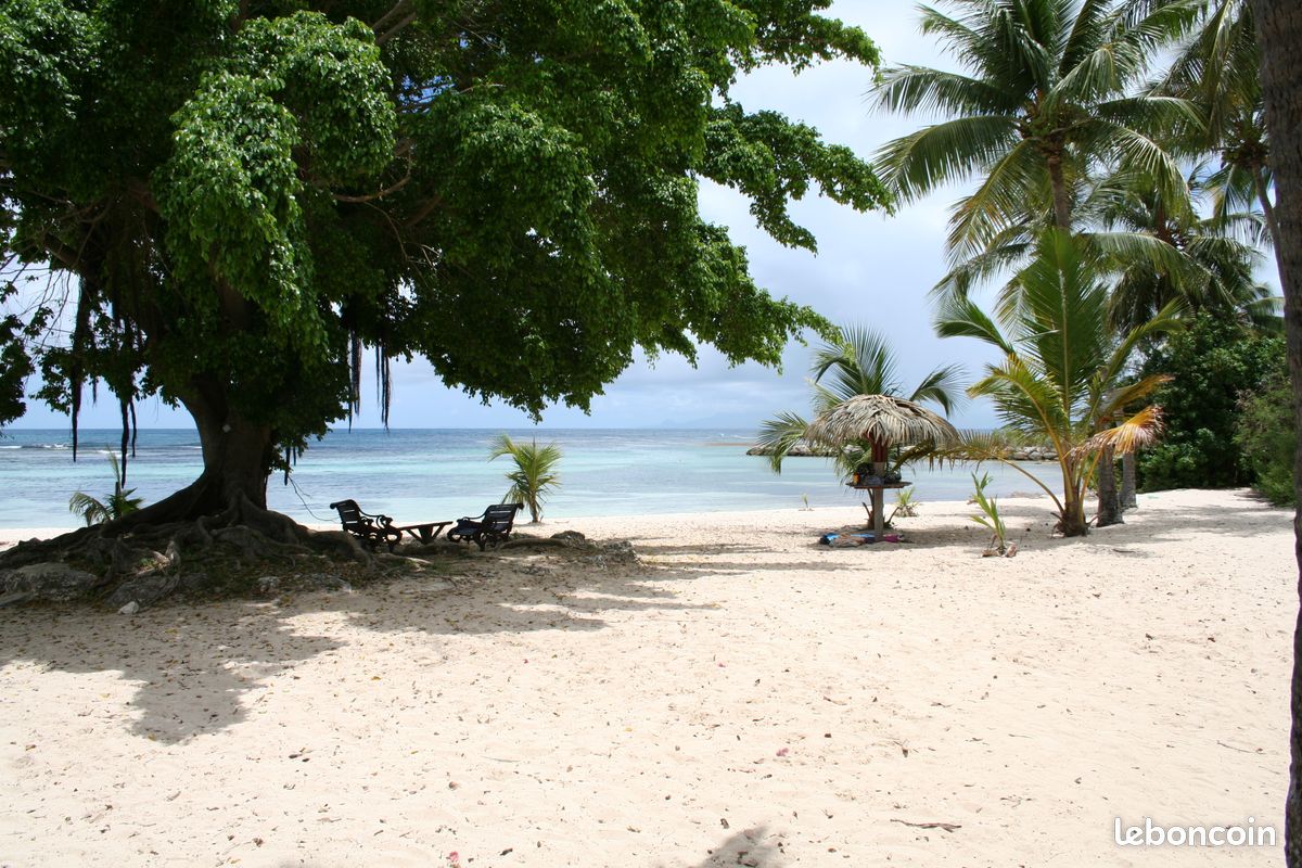 Appt. Arawak, Lagon à 40m, Anse des Rochers, citerne tampon 600L (image 17)