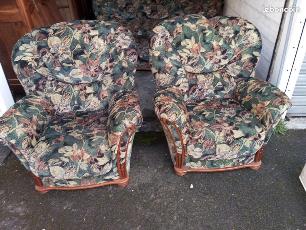 2 Fauteuils en velours (image 1)