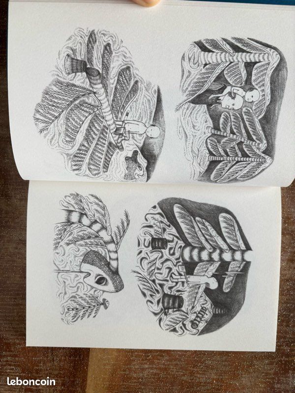 Avant mon père aussi était un enfant - EO- Fanny Michaëlis . Ed Cornelius 2011 (image 4)