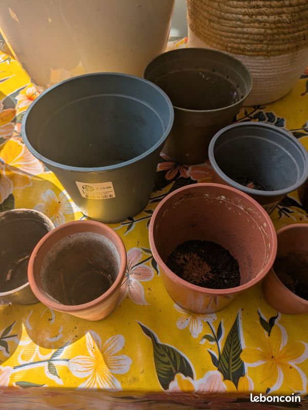 Pots et cache pot plantes (image 6)