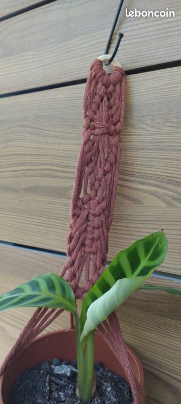 Suspension pour plante en macramé couleur brique (image 6)
