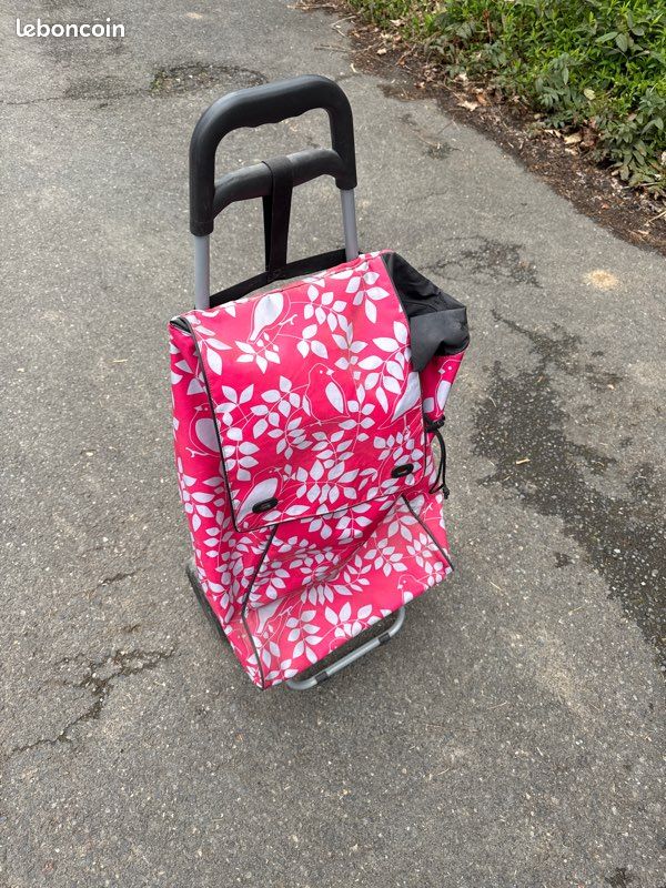 Sac cabas à roulettes (image 1)