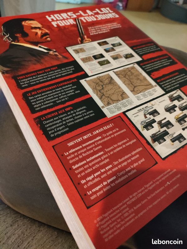 Guide officiel de red dead rédemption 2 (image 2)