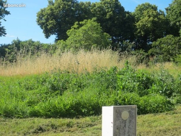 Terrain 1 165 m² Clairac