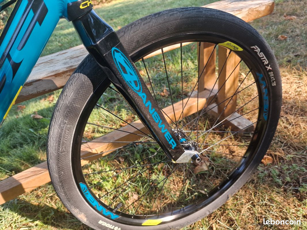 BMX Cruiser CHASE ELEMENT (image 4)