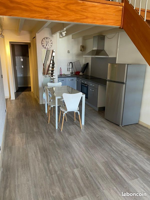 Appartement T1 bis duplex hyper centre bourg en Bresse dernier étage (image 3)
