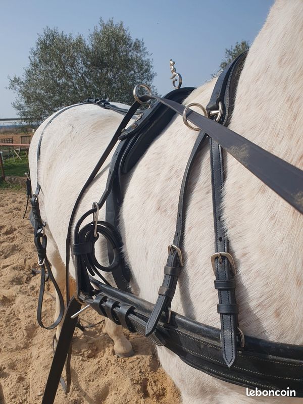 Harnais De Cheval Vintage – Fer Et Argent Antique – Pièce Déco 6277