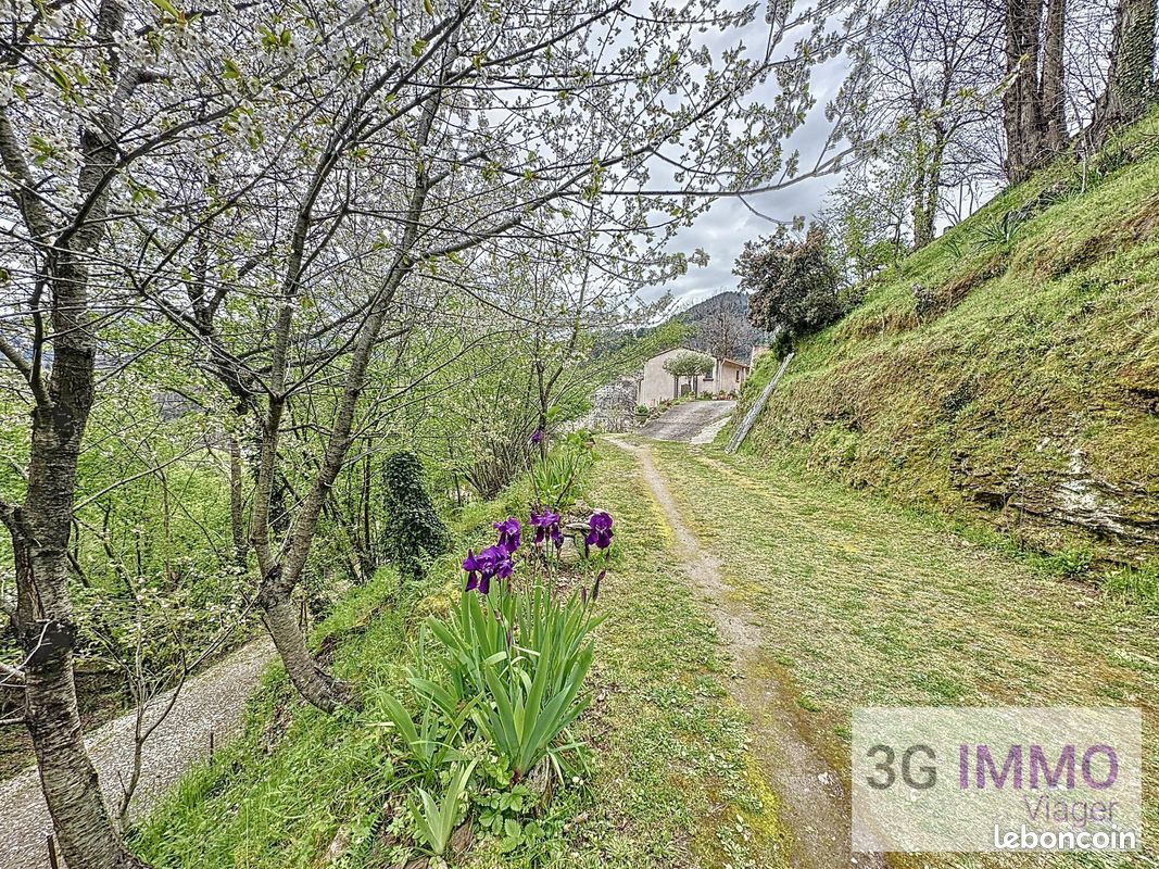 Viager | Maison T3 | 3p | 2ch | 75 m² | La Porta | Expo Sud-Est | Terrasse · Jardin (image 14)