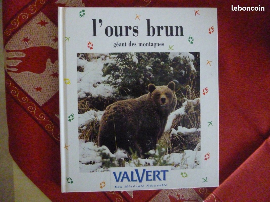 L'ours brun géant des montagnes (image 1)