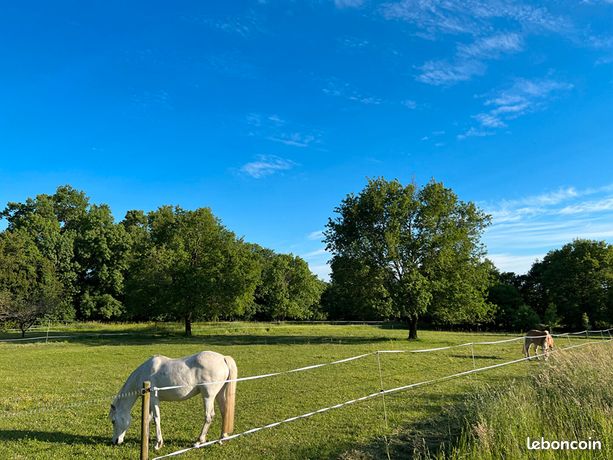 Propriété 8 pièces 198 m²