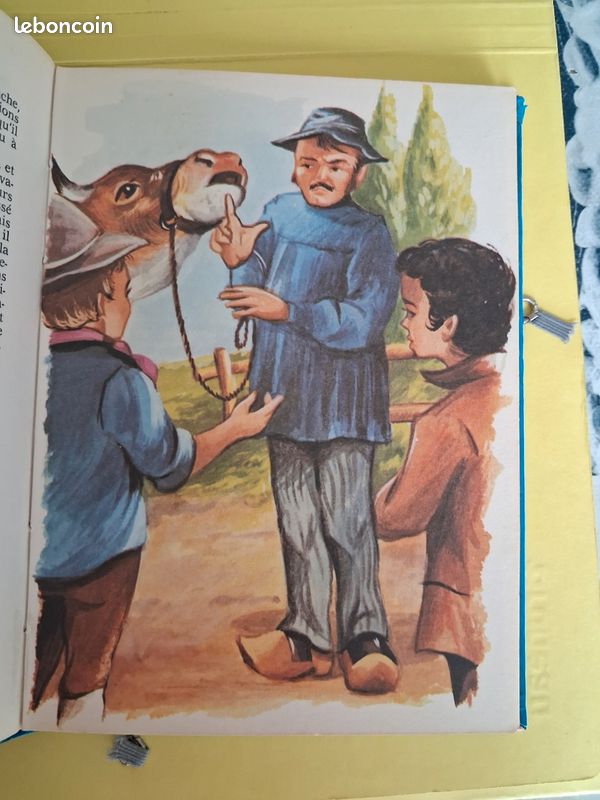 Sans famille tome 1 et 2 de 1977 (image 3)