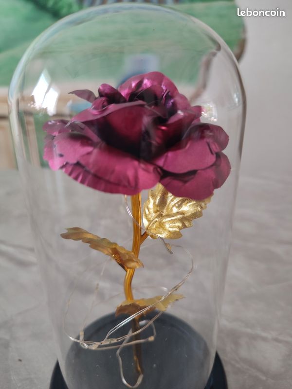 Rose sous globe en verre couleur fushia (image 2)