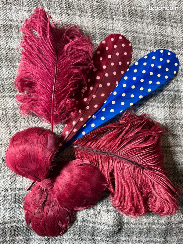 3382* chapeau ancien plumes pour poupée ancienne jumeau ?? à voir