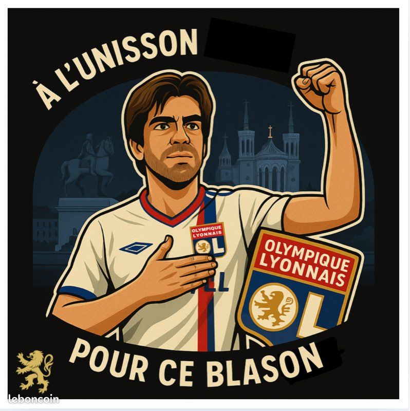 OL : l’abonnement du kop Lyon 1950 en virage Sud disponible