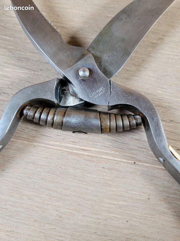 Ciseaux à volaille inox brossé 24 cm - 923502800 - KUCHENPROFI | Francis BATT