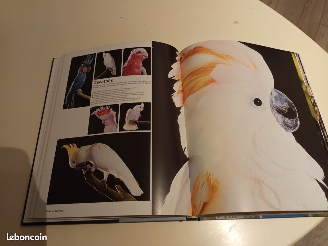 Livre : l essentiel de la vie sauvage (image 4)