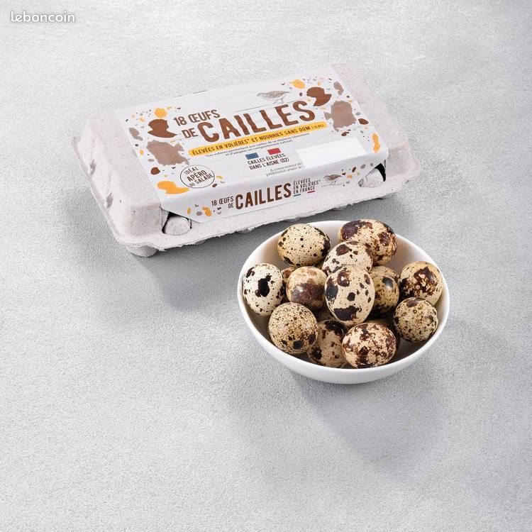Oeufs de cailles (image 1)