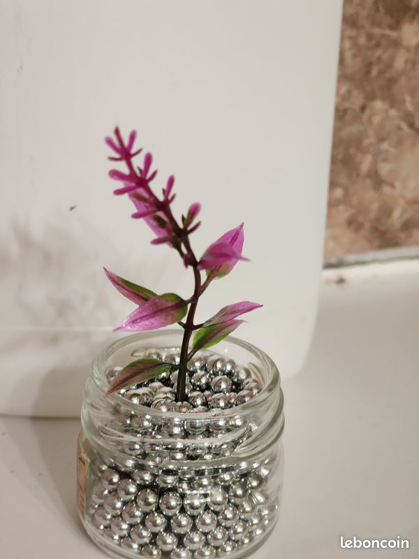 Plante artificielle pour décoration (image 1)