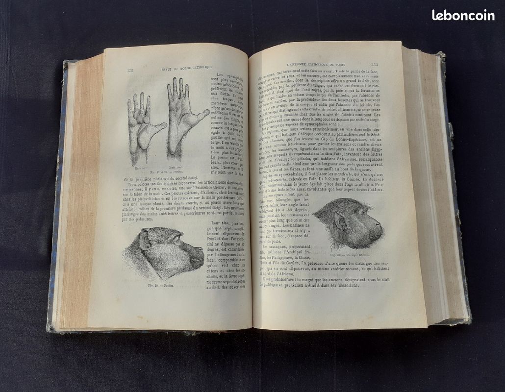 Livre " Revue du monde catholique " de 1878 (image 5)