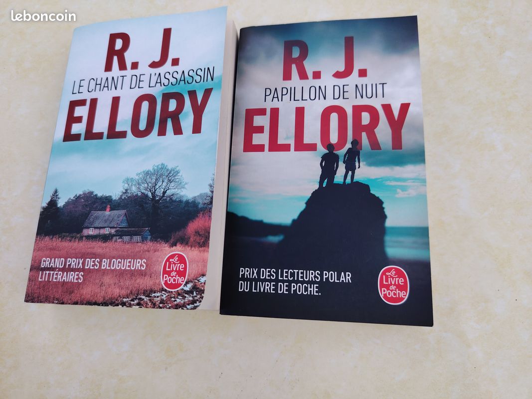 4 romans policiers de RJ ELLORY (image 3)