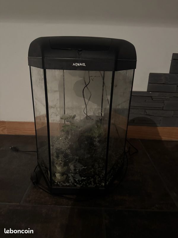 Aquarium (image 1)