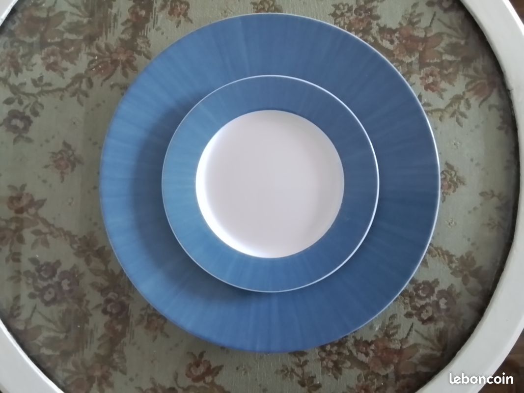 Grandes assiettes Guy DEGRENNE (image 2)