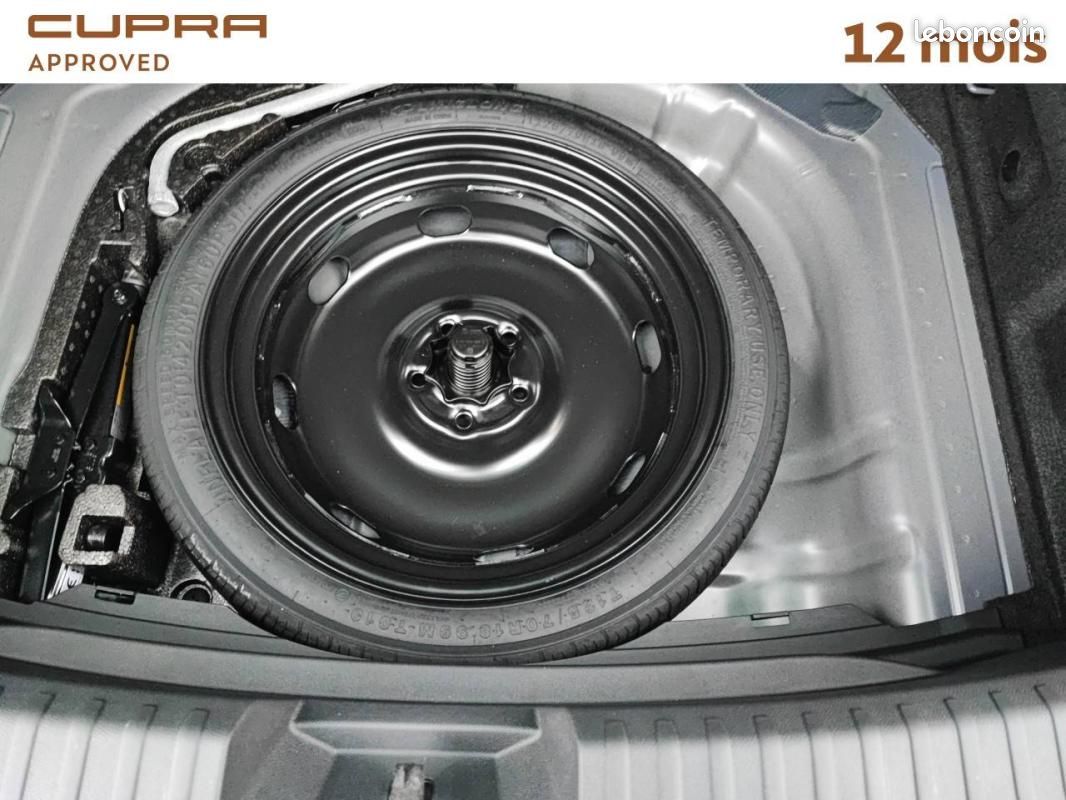 Cupra Leon 2.0 TDI 150 ch DSG7 V (image 20)