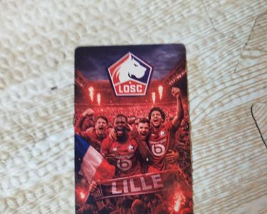 Lot 6 Fanions LOSC Lille – Planche Décorative Sur Socle, édition 2023 Numérotée