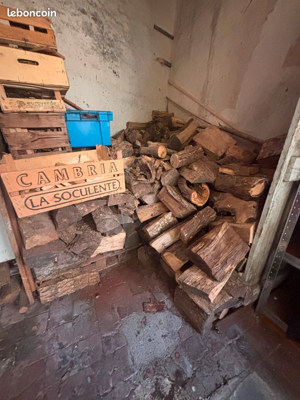3 Lot de Bois de Chauffage Sec Bûches 30 cm (+ Petit Bois / Allume-feu) – ~5 Stères (image 6)