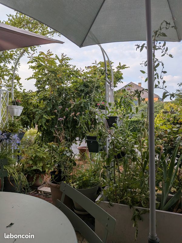 Appartement 4 pièces 86 m² · à Coulaines · 85,5 m² · 214 000 €