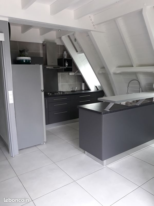Chalet tillandsia (image 10)