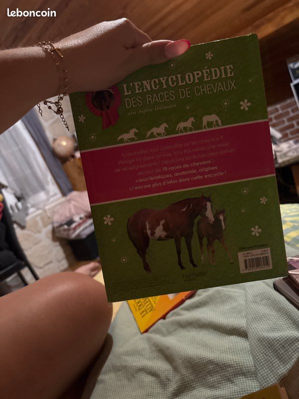 Livre équestre (image 2)