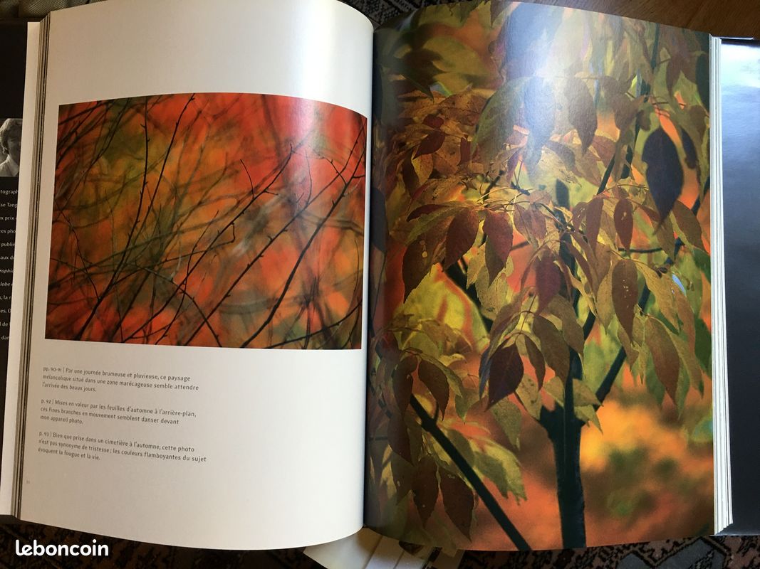 Photographie - Louise Tanguay - Natura (image 3)