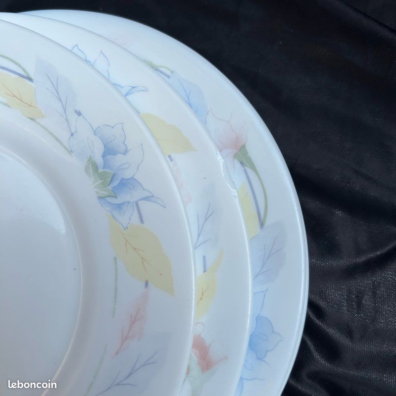 Assiettes Arcopal Opaline Floral,Végétal