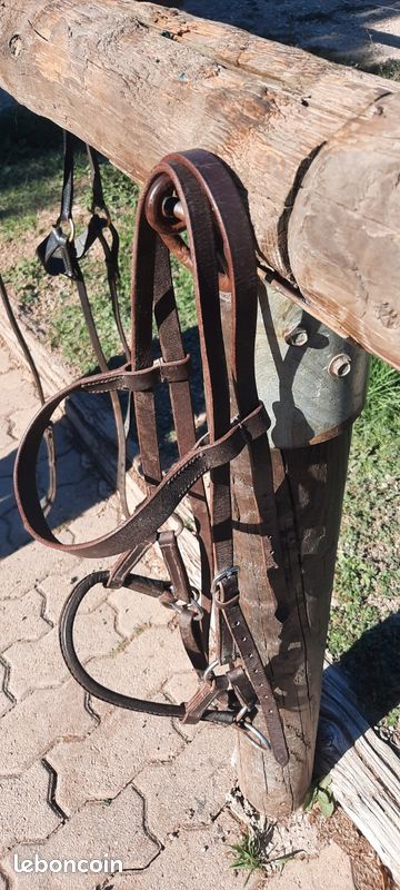 Side pull cuir marron Sport Plein air