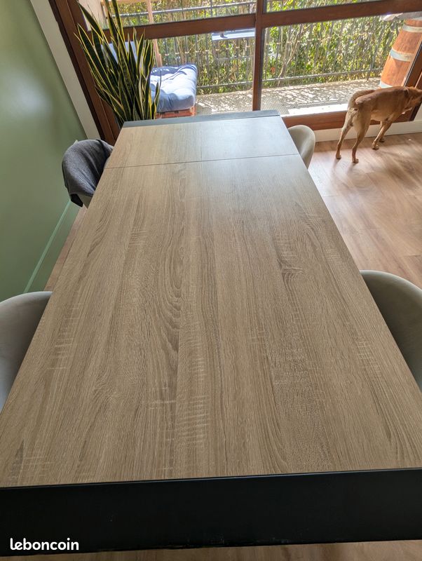 Table extensible 120/160 (image 3)