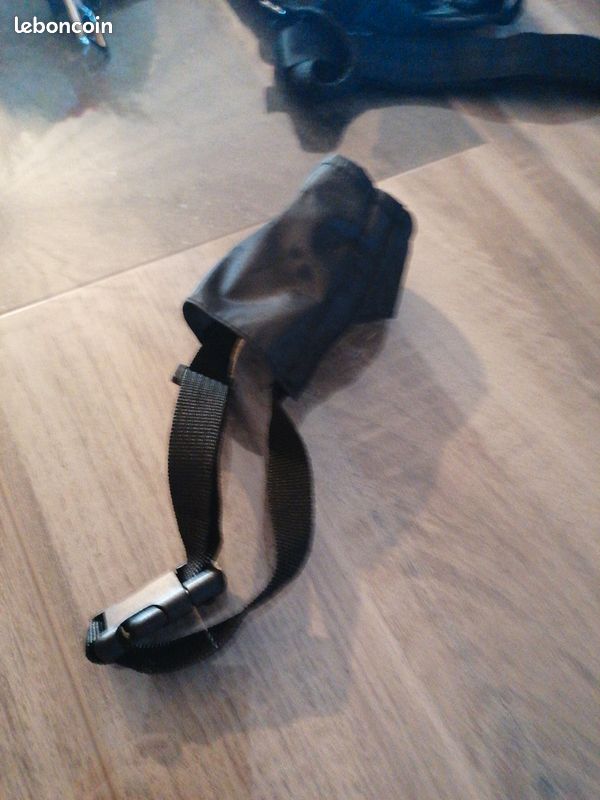 Ceinture de sécurité chien (image 5)