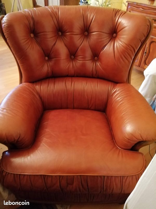 Fauteuils cuir (image 1)