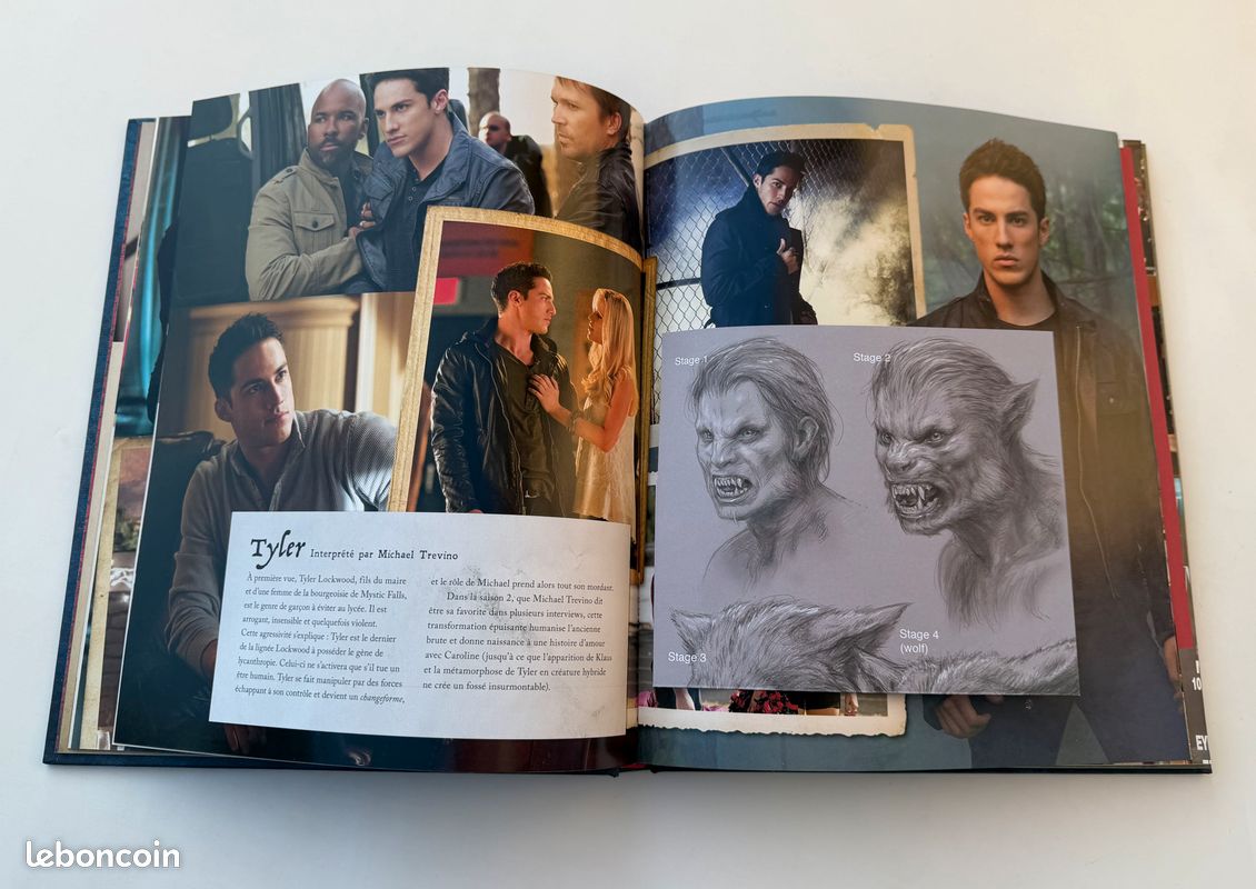 Livre The Vampire Diaries - Tous les secrets de Mystic Falls - Edition reliée collector • Excellent état (image 7)