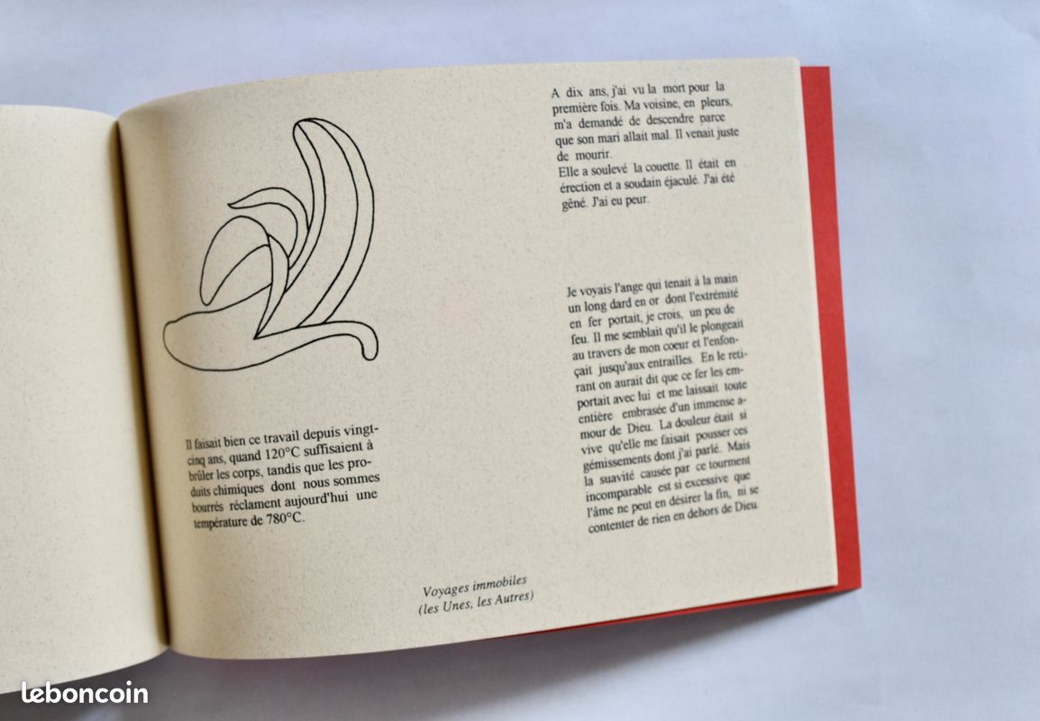 Didier Frouin Des chots et des moses (image 4)